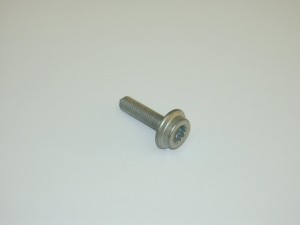 Śruba zawiasu drzwi VW TRANSPORTER CRAFTER